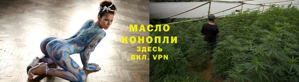 хмурый Арсеньев