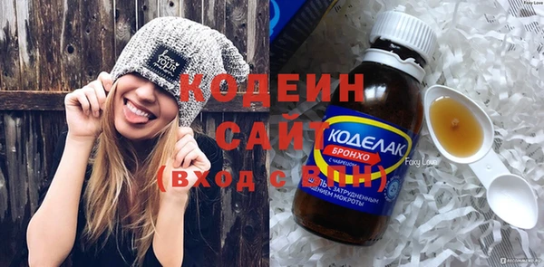 хмурый Арсеньев