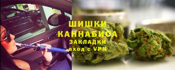 хмурый Арсеньев
