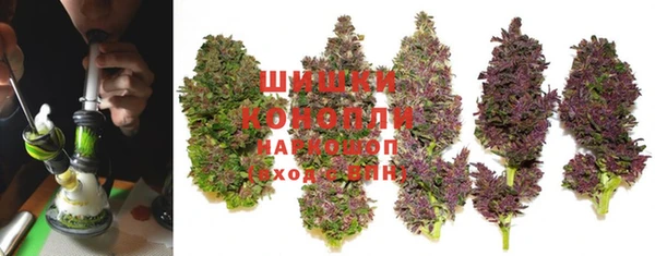 хмурый Арсеньев