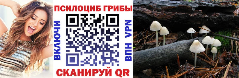 Галлюциногенные грибы GOLDEN TEACHER Тейково